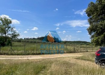 Foto 9 - Attività Commerciale Montelupo Fiorentino - foto 9