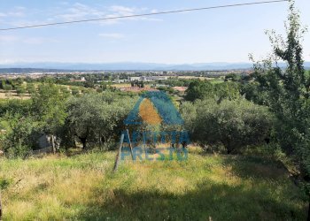 Foto 3 - Casa indipendente Montopoli in Val d'Arno - foto 3