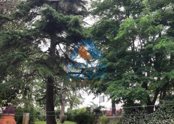 Foto 3 - Villa a Schiera San Miniato - foto 3