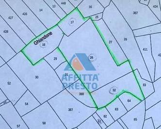 Foto 1 - Agricultural land Santa Croce sull'Arno - photo 1