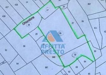 Foto 1 - Agricultural land Santa Croce sull'Arno - photo 1