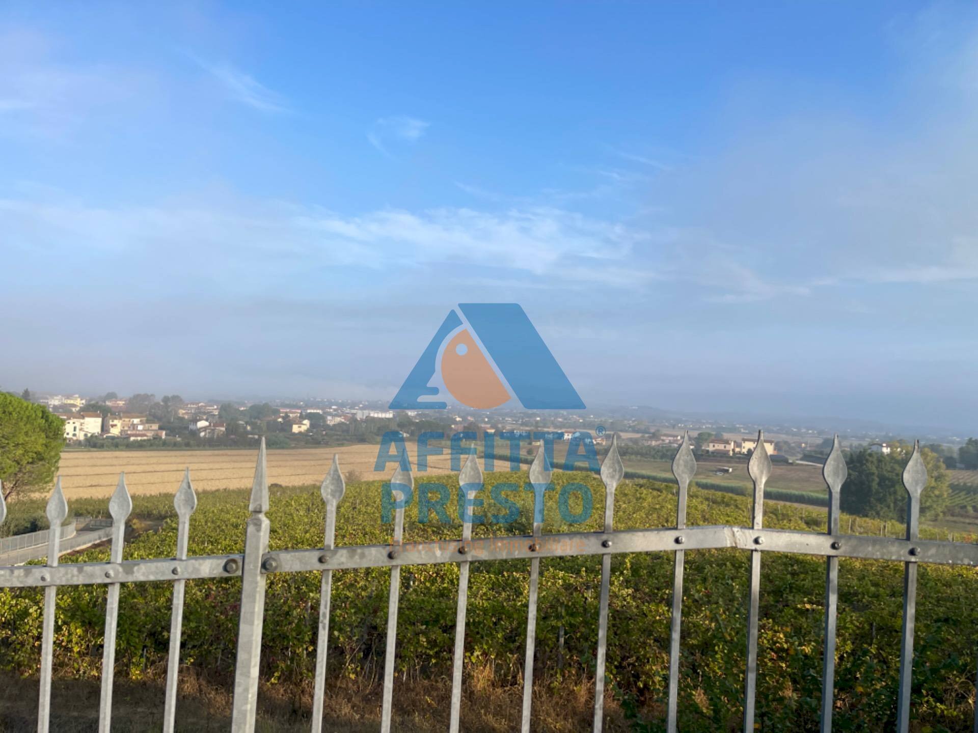 Foto 3 - Villa a Schiera San Miniato - foto 3