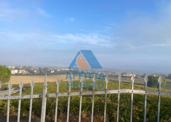 Foto 3 - Villa a Schiera San Miniato - foto 3