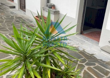 Foto 7 - One-room apartment Cerreto Guidi - photo 7