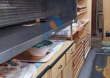 Foto 1 - Commercial Activity Capraia e Limite - photo 1