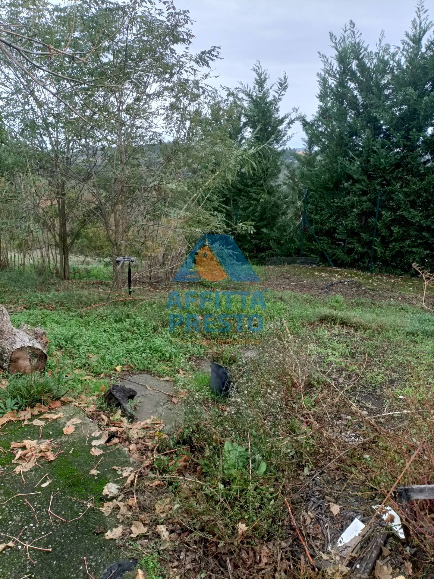 Foto 2 - Casa indipendente Montespertoli - foto 2