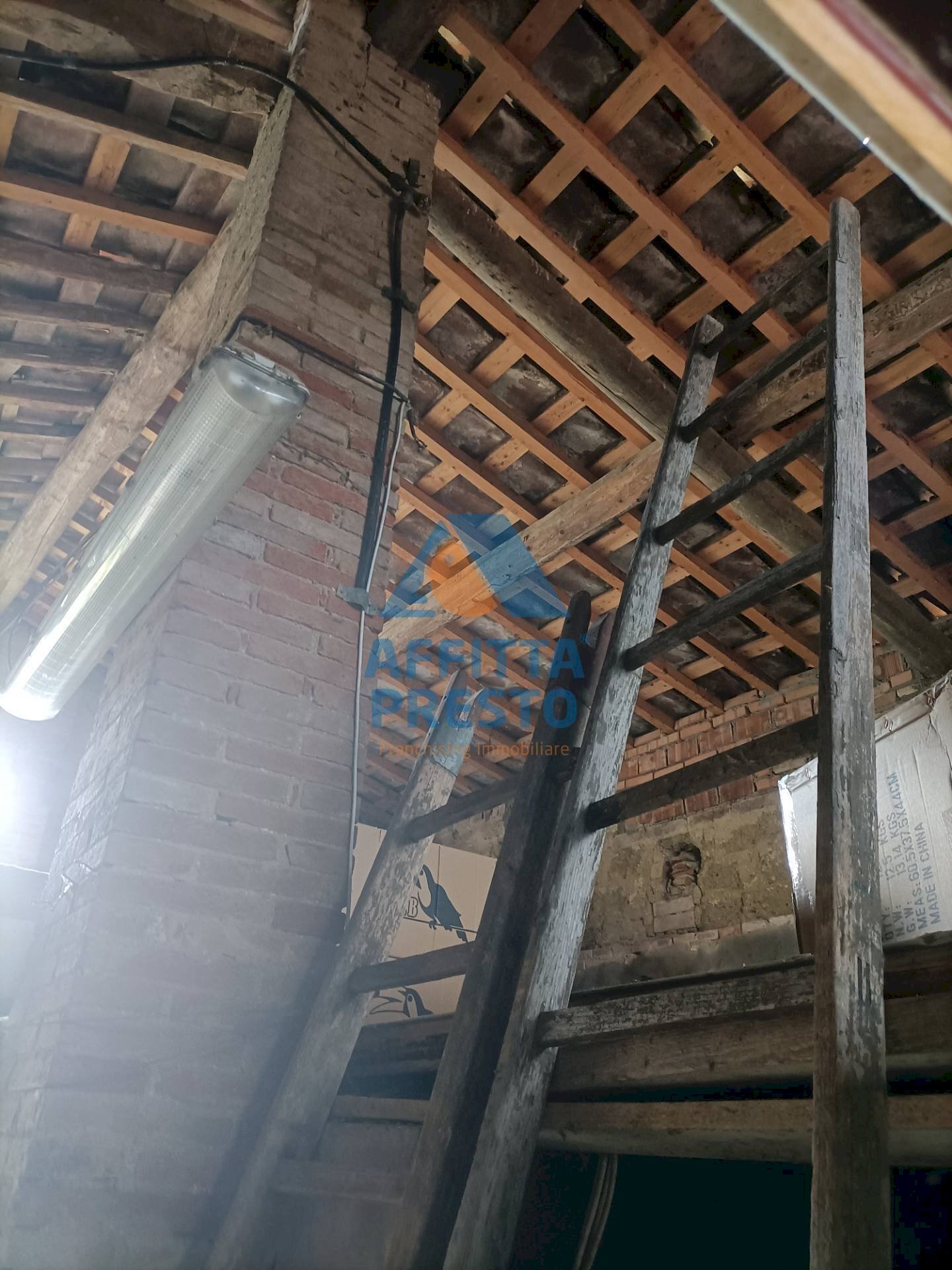 Foto 3 - Casa indipendente Montespertoli - foto 3