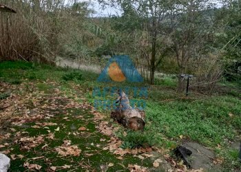 Foto 1 - Casa indipendente Montespertoli - foto 1