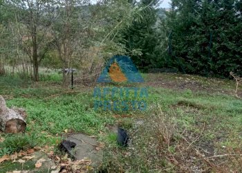 Foto 2 - Casa indipendente Montespertoli - foto 2