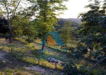 Foto 4 - Monolocale Pontedera - foto 4