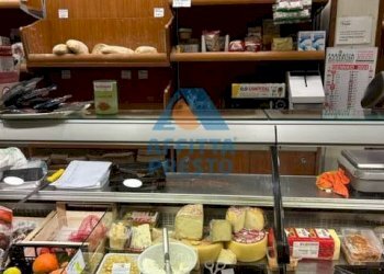 Foto 1 - Commercial Activity Empoli - photo 1