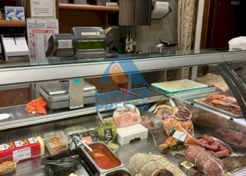 Foto 2 - Commercial Activity Empoli - photo 2