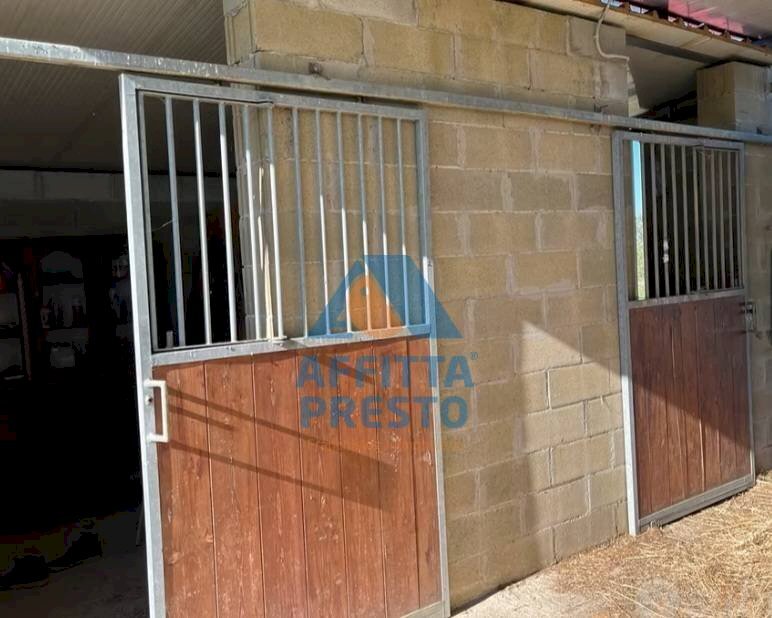 Foto 1 - Agricultural land Montopoli in Val d'Arno - photo 1