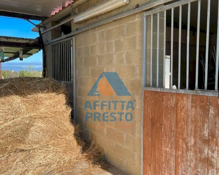 Foto 2 - Agricultural land Montopoli in Val d'Arno - photo 2