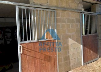 Foto 1 - Terreno agricolo Montopoli in Val d'Arno - foto 1