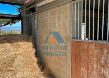 Foto 2 - Terreno agricolo Montopoli in Val d'Arno - foto 2