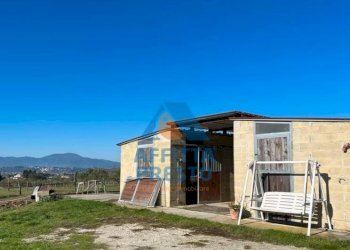 Foto 3 - Terreno agricolo Montopoli in Val d'Arno - foto 3