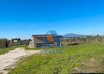 Foto 4 - Terreno agricolo Montopoli in Val d'Arno - foto 4