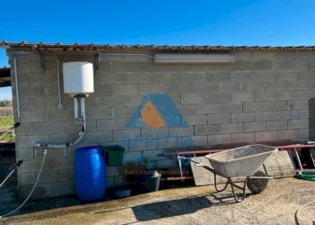 Foto 6 - Terreno agricolo Montopoli in Val d'Arno - foto 6