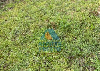 Foto 6 - Trilocale Cerreto Guidi - foto 6