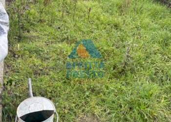 Foto 7 - Trilocale Cerreto Guidi - foto 7