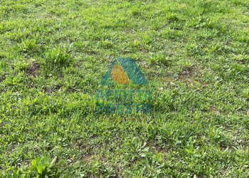 Foto 5 - Independent house Lamporecchio - photo 5