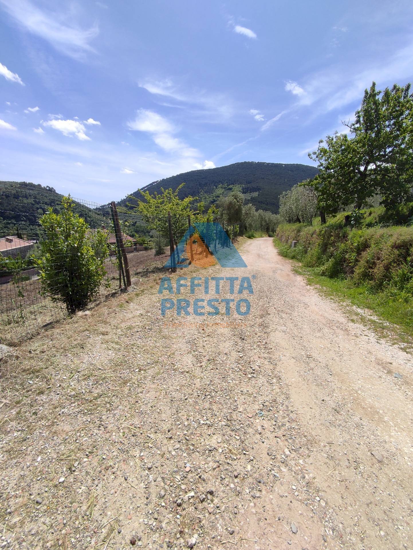 Foto 2 - Terreno agricolo Buti - foto 2