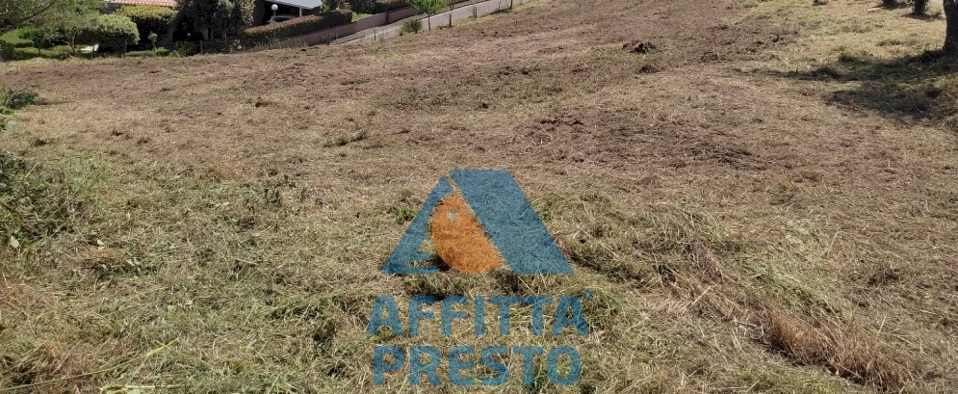 Foto 3 - Terreno agricolo Buti - foto 3