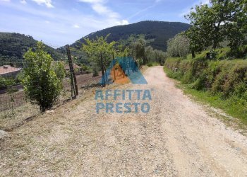 Foto 2 - Terreno agricolo Buti - foto 2