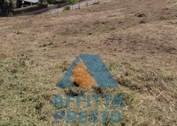 Foto 3 - Terreno agricolo Buti - foto 3