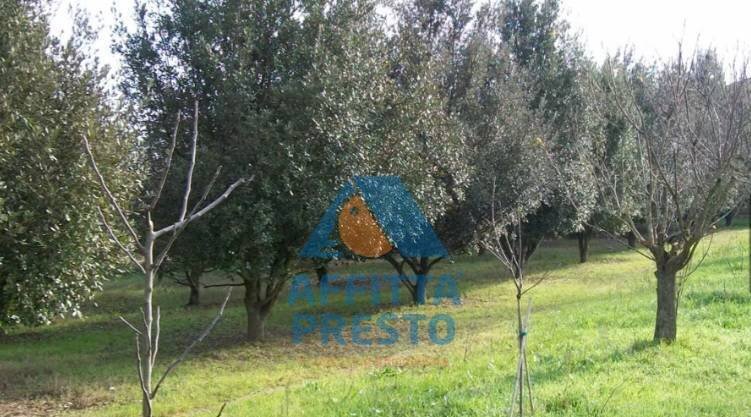 Foto 3 - Terreno agricolo Empoli - foto 3