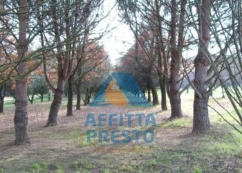 Foto 1 - Terreno agricolo Empoli - foto 1