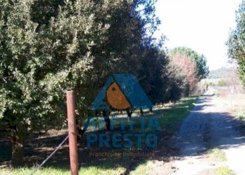 Foto 4 - Terreno agricolo Empoli - foto 4