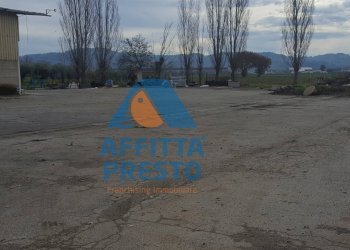 Foto 4 - Magazzino Empoli - foto 4