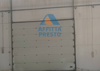 Foto 5 - Magazzino Piombino - foto 5