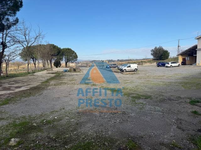 Foto 3 - Capannone San Miniato - foto 3