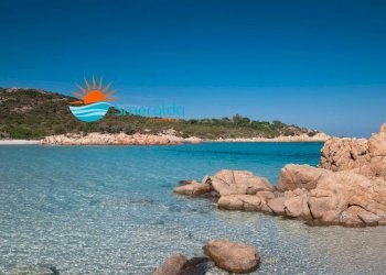 Foto 17 - Three-room apartment Olbia - photo 17