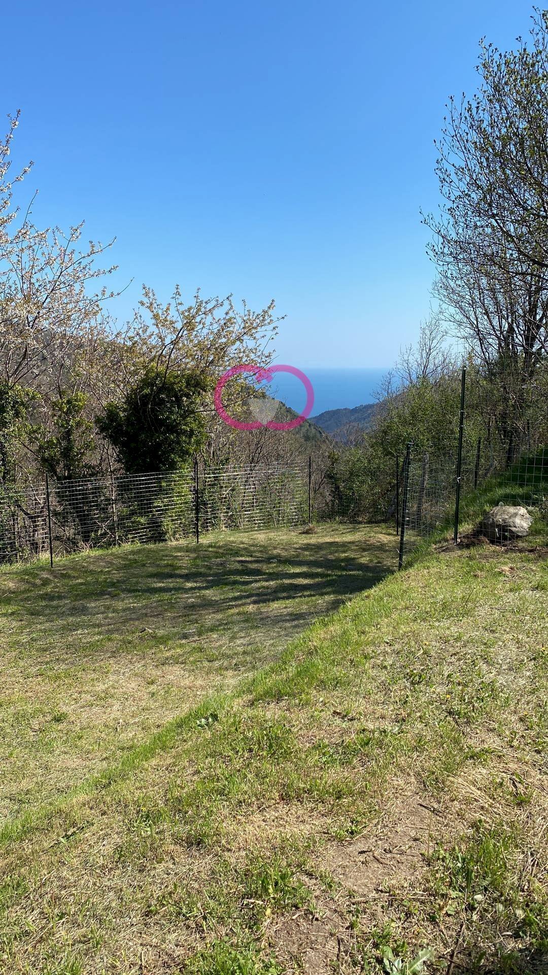 Foto 2 - Agricultural land Via ceresa, Varazze - photo 2