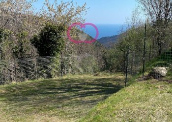 Foto 2 - Agricultural land Via ceresa, Varazze - photo 2