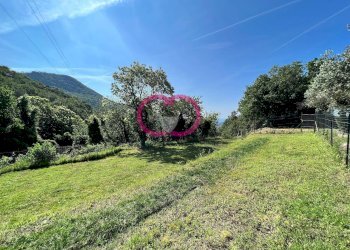 Foto 19 - Agricultural land Via ceresa, Varazze - photo 19