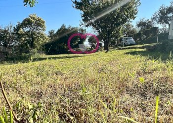 Foto 25 - Agricultural land Via ceresa, Varazze - photo 25