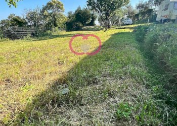 Foto 26 - Agricultural land Via ceresa, Varazze - photo 26