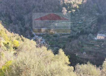 Foto 24 - Quadrilocale vicolo Castello
 
30, Montalto Carpasio - foto 24