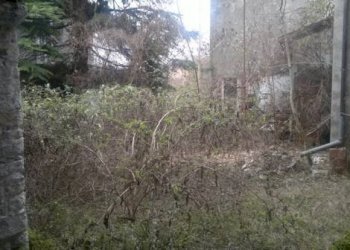 Foto 10 - Stable - Palace via carpani
 
4, Erba - photo 10