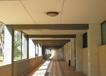 Foto 5 - Ufficio Corso Alcide De Gasperi
 
292, Bari - foto 5