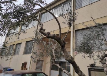 Foto 8 - Capannone Via Isaac Newton, Scandicci - foto 8