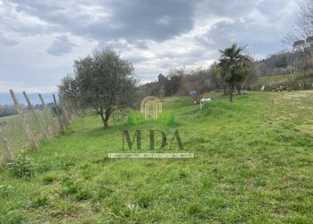 Foto 4 - Terreno agricolo via Piediprato, Spinetoli - foto 4