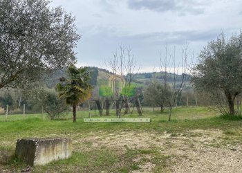 Foto 6 - Terreno agricolo via Piediprato, Spinetoli - foto 6