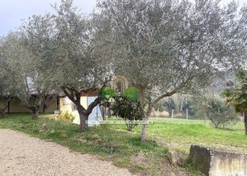 Foto 7 - Terreno agricolo via Piediprato, Spinetoli - foto 7