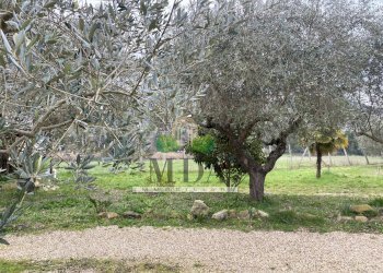 Foto 9 - Terreno agricolo via Piediprato, Spinetoli - foto 9